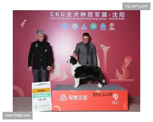 花滑超级大满贯